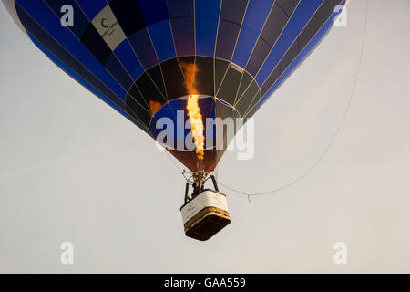 Durdham Down, Clifton, Bristol, UK. 5. August 2016 Masse Besteigung des Ballons, die jährliche Bristol International Balloon Fiesta zu starten. Bildnachweis: Carolyn Eaton/Alamy Live-Nachrichten Stockfoto