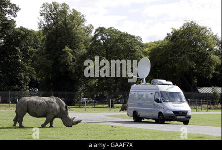 TV-ü-Wagen Stockfoto