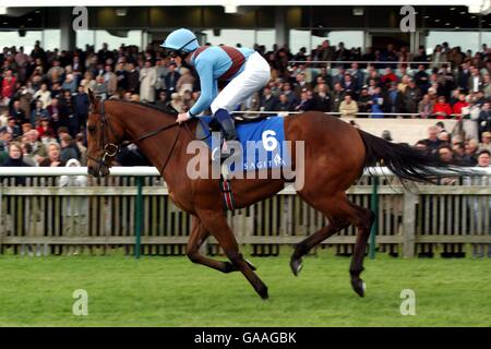 Pferderennen - Newmarket - 1000 Guineas. Lahinch unter Paul Scallon geht in die Sagitta 1000 Guineas Stockfoto