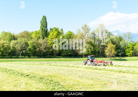 Rotierende Heu Rechen in Aktion hinter einem Traktor Rechen getrocknet Rasen für Ballenpressen für Heu und im Winter für das Vieh auf dem Hof Futter. Stockfoto