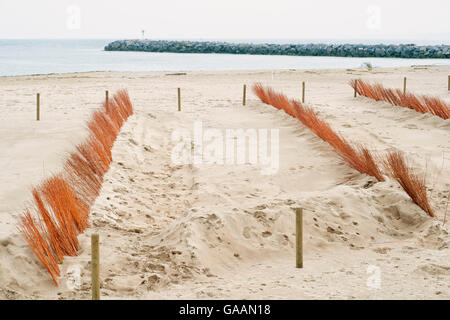 Sands Catchers am Strand für die Renaturierung der Düne. Baskisches Land. Stockfoto