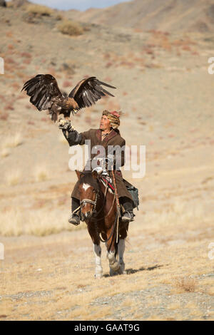 Adler-Jäger montiert auf mongolischen Pferd mit seiner weiblichen Steinadler (Aquila Chrysaetos) Eagle Jäger Festival, in der Nähe von Sagsai, Bayan-Ulgii Aymag, Mongolei. September 2014... Stockfoto