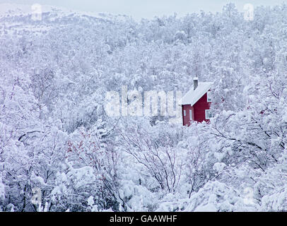 Rotes Haus, umgeben von schneebedeckten Bäumen im Winter, östlichen Finnmark, Norwegen, November 2006. Stockfoto