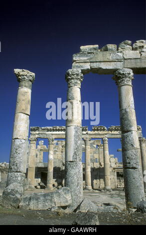 die Ruinen von Apameia nahe der Stadt von Hama in Syrien im Nahen Osten Stockfoto