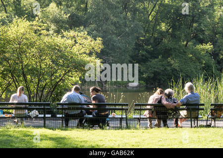 Menschen genießen den Rasen in der Nähe von Central Park Teich, NYC, USA Stockfoto