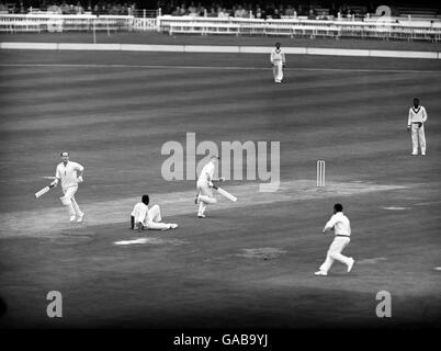 Wesley Hall, der schnelle Bowler von West Indies, fällt, als Brian Close (links) und Fred Titmus aus England für eine schnelle Single kriechen. Stockfoto