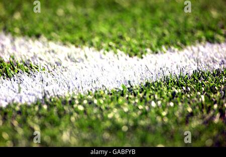 Fußball - FIFA Fußball-Weltmeisterschaft 2002 - Gruppe F - Argentinien / Nigeria. Weiße Linien auf dem Spielfeld im Kashima Stadium, Ibaraki Stockfoto