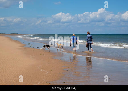 Menschen zu Fuß Hunde auf Holkham Beach, North Norfolk, england Stockfoto