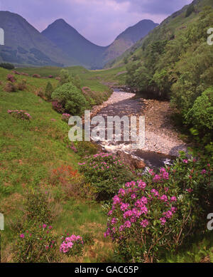 Frühling-Szene in Glen Etive, Argyll Stockfoto