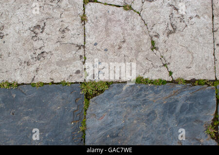 Geometrische Steinweg mit grünen Pflanzen und Moos Stockfoto