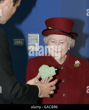 Queen Elizabeth II. Während ihrer Tour durch die neue Diamond Light Source in Didcot in Oxfordshire. Die Königin wird mit einem Modell eines 'Grippe Virus' (grüner Blob) während der Tour durch die Anlage, die das neue Diamond Light Source Synchrotron beherbergt, abgebildet. Stockfoto