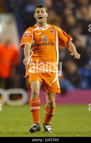 Fußball - Coca-Cola Football League Championship - West Bromwich Albion gegen Blackpool - The Hawthorns. Wesley Hoolahan, Blackpool Stockfoto