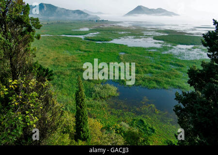 Sommer-Ansicht von Skadar See nahe dem Dorf von Virpazar, Montenegro. Atemberaubende Landschaft und Natur Stockfoto