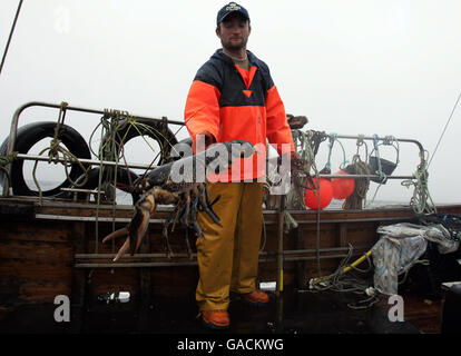 Hummer Fisherman Ross MacLennon Skipper des 'Carrie Anne' Bootes Von Milton Harbour auf der Isle of Tiree mit Deckhand William Walker (trägt Hut) Land Hummer im Atlantik Stockfoto