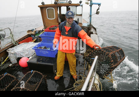 Hummer Fisherman Ross MacLennon Skipper des 'Carrie Anne' Bootes Von Milton Harbour auf der Isle of Tiree mit Deckhand William Walker (trägt Hut) Land Hummer im Atlantik Stockfoto