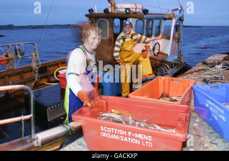 Hummer Fisherman Ross MacLennon Skipper des 'Carrie Anne' Bootes Von Milton Harbour auf der Isle of Tiree mit Deckhand William Walker (mit Hut) Landen Sie ihren Fang nach dem Angeln im Atlantik Stockfoto