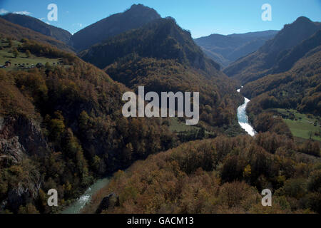 Der Fluss Tara und Tara-Schlucht, Montenegro Stockfoto