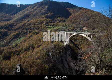 -Tara Brücke über Tara Canyon, Montenegro Stockfoto