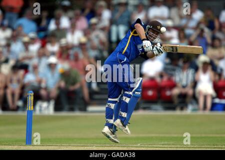 Cricket - Norwich Union League - Division Two - Surrey gegen Essex. Surreys Ian ward schlägt zu Stockfoto