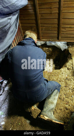 Ein forensischer Archäologe arbeitet um das ausgegrabene Gebiet herum, wo der Körper, der vermutlich von Dinah McNicol stammte, im hinteren Garten eines Hauses am Irvine Drive in Margate gefunden wurde. Stockfoto