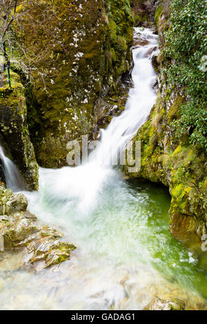 Der Wasserfall Poço do Inferno liegt in einem borealen Wald in den Bergen der Serra da Estrela, Portugal, Europa Stockfoto