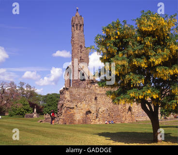 Kathedrale von St Andrews, Fife Stockfoto