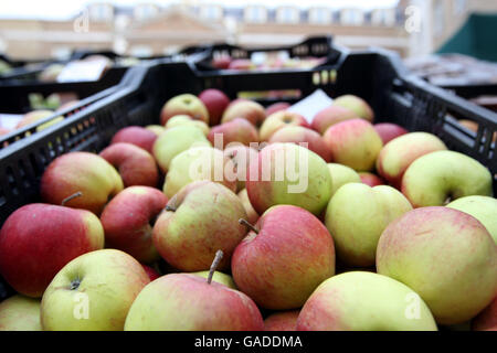 Allgemeine Aufnahme eines Obst- und Gemüsestandes auf einem Bauernmarkt in Richmond, Surry PRESS ASSOCIATION Photo. Bilddatum: Samstag, 24. November 2007. Bildnachweis sollte lauten: Steve Parsons/PA Wire Stockfoto