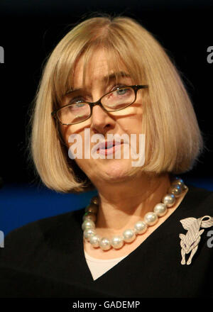 Ofstds Hauptinspektor Christine Gilbert spricht auf der Nationalen Konferenz für Fachschulen und Akademien-Vertrauen im ICC in Birmingham. Stockfoto