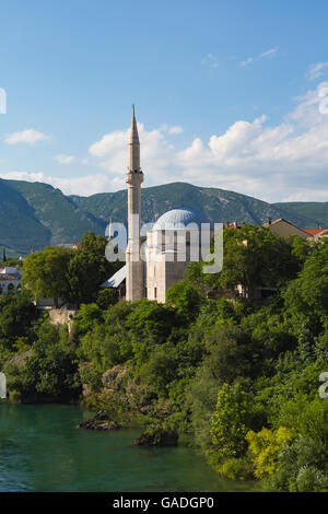 Mostar, Herzegowina-Neretva, Bosnien und Herzegowina.  Koski Mehmed-Pascha-Moschee neben dem Fluss Neretva. Stockfoto