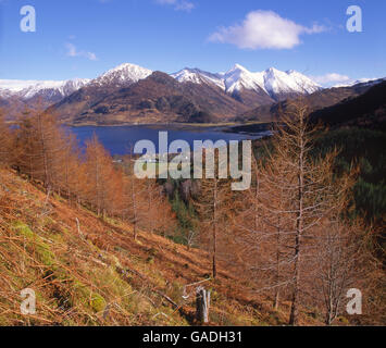 Herbst Blick von Mam Ratagan auf die fünf Schwestern von Kintail, Loch Duich, N/W Hochland. Stockfoto