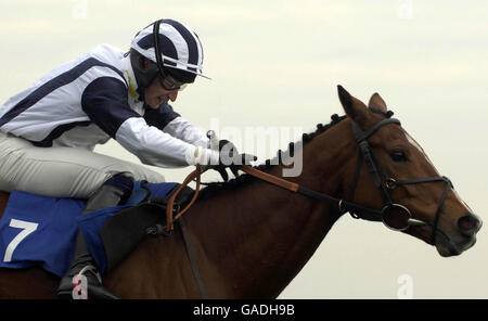 Pferderennen - Plumpton Racecourse. Ohana von Jay Pemberton gewinnt das Bluebird Community Partnership Maiden Hurdle Race auf der Plumpton Racecourse. Stockfoto