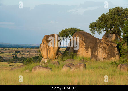 Felsige Landschaft im nördlichen Serengeti Nationalpark, Tansania Stockfoto