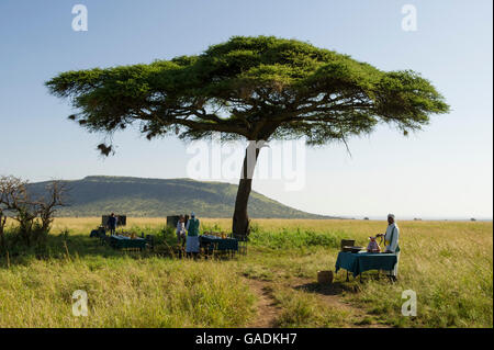 Buschfrühstück nach einer Ballonsafari in Serengeti Nationalpark, Tansania Stockfoto