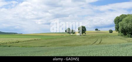 Kulturlandschaft im Sommer Stockfoto