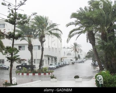 Ein Blick auf die Palmen während des Regens im El Mouradi Hotelresort in Port El Kantaoui Touristenkomplex in Tunesien. Stockfoto