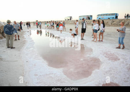 Touristen am Chott El Jerid, einem großen Salzsee in Süd-Tunesien. Chott El Jerid ist die größte Salzpfanne der Sahara. Stockfoto