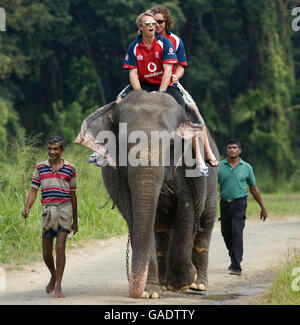 Cricket - England Besuch Pinawella Dorf - Kandy Stockfoto