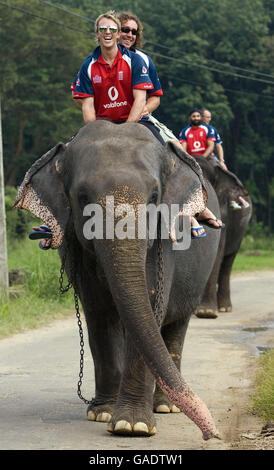 Cricket - England Besuch Pinawella Dorf - Kandy Stockfoto