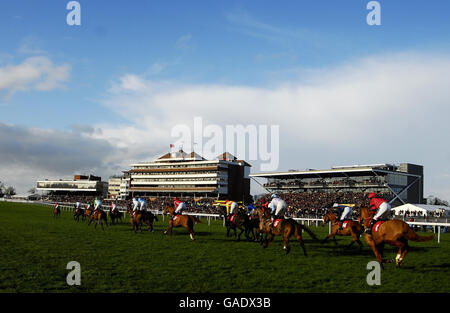 Pferderennen - Hennessy Cognac Gold Cup Day - Rennbahn Newbury. Fahrer in den Greyhounds machen Great PetsNovices Hürden passieren die Tribüne auf dem ersten Kurs auf der Newbury Racecourse. Stockfoto