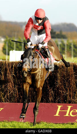 Pferd - Hennessy Cognac Goldschale Regattatag - Newbury Racecourse Stockfoto