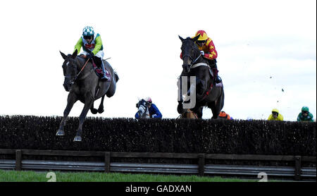 Pferd - Hennessy Cognac Goldschale Regattatag - Newbury Racecourse Stockfoto