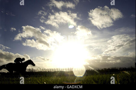 Pferd - Hennessy Cognac Goldschale Regattatag - Newbury Racecourse Stockfoto