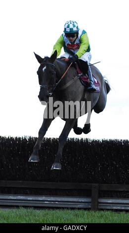 Pferd - Hennessy Cognac Goldschale Regattatag - Newbury Racecourse Stockfoto