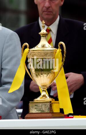 Cricket - Benson & Hedges Cup - Finale - Essex gegen Warwickshire. Der Benson & Hedges Cup Stockfoto