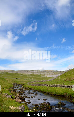 Ingleton Landschaft, North Yorkshire Stockfoto