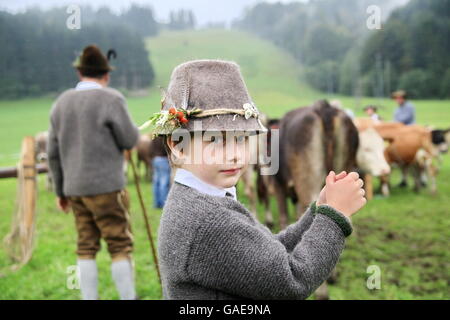 Jungen tragen Tracht während der Viehscheid, trennt das Vieh nach ihrer Rückkehr aus den Alpen, Thalkirchdorf Stockfoto