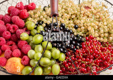 Sommer Früchte und Beeren - rote, schwarze und weiße Johannisbeeren, Himbeeren, Stachelbeeren, Pfirsiche und Aprikosen. Selektiven Fokus. Stockfoto