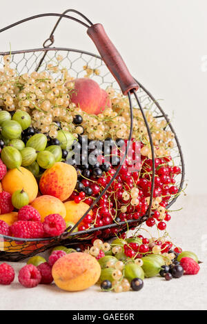 Sommer Früchte und Beeren - rote, schwarze und weiße Johannisbeeren, Himbeeren, Stachelbeeren, Pfirsiche und Aprikosen. Selektiven Fokus. Stockfoto