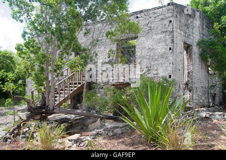 Die massive Gründe die Wade grün-Plantage auf North Caicos bietet interessante Ruinen aus den 1700er Jahren wie das große Haus. Stockfoto