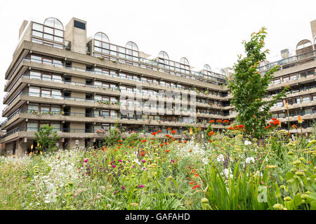 Mohn und Wildblumen rund um die Barbican Exhibition Halls im Barbican Complex, City of London, England, Großbritannien Stockfoto